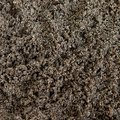 天竜川流域産 洗い砂 20kg