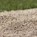 芝生用 荒目砂 乾燥砂 木曽川流域産 洗い砂 20kg
