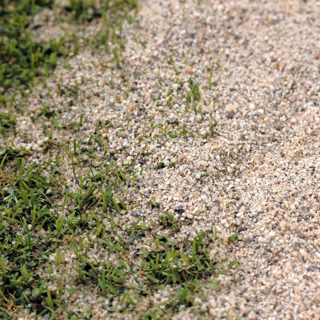 芝生用 荒目砂 乾燥砂 木曽川流域産 洗い砂 20kg