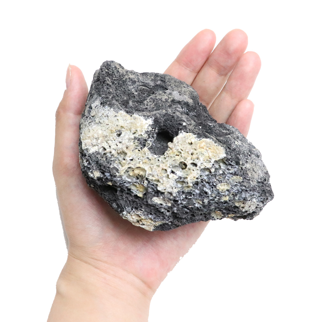 溶岩石 ミックスブラック 50-100mm 約8kg