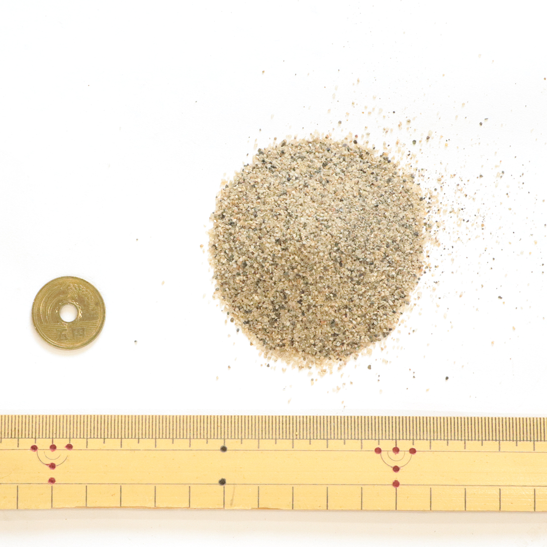 芝生用 目砂 乾燥砂 木曽川流域産 洗い砂 [0-1mm] 20kg