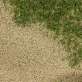 芝生用 目砂 乾燥砂 木曽川流域産 洗い砂 [0-1mm] 20kg