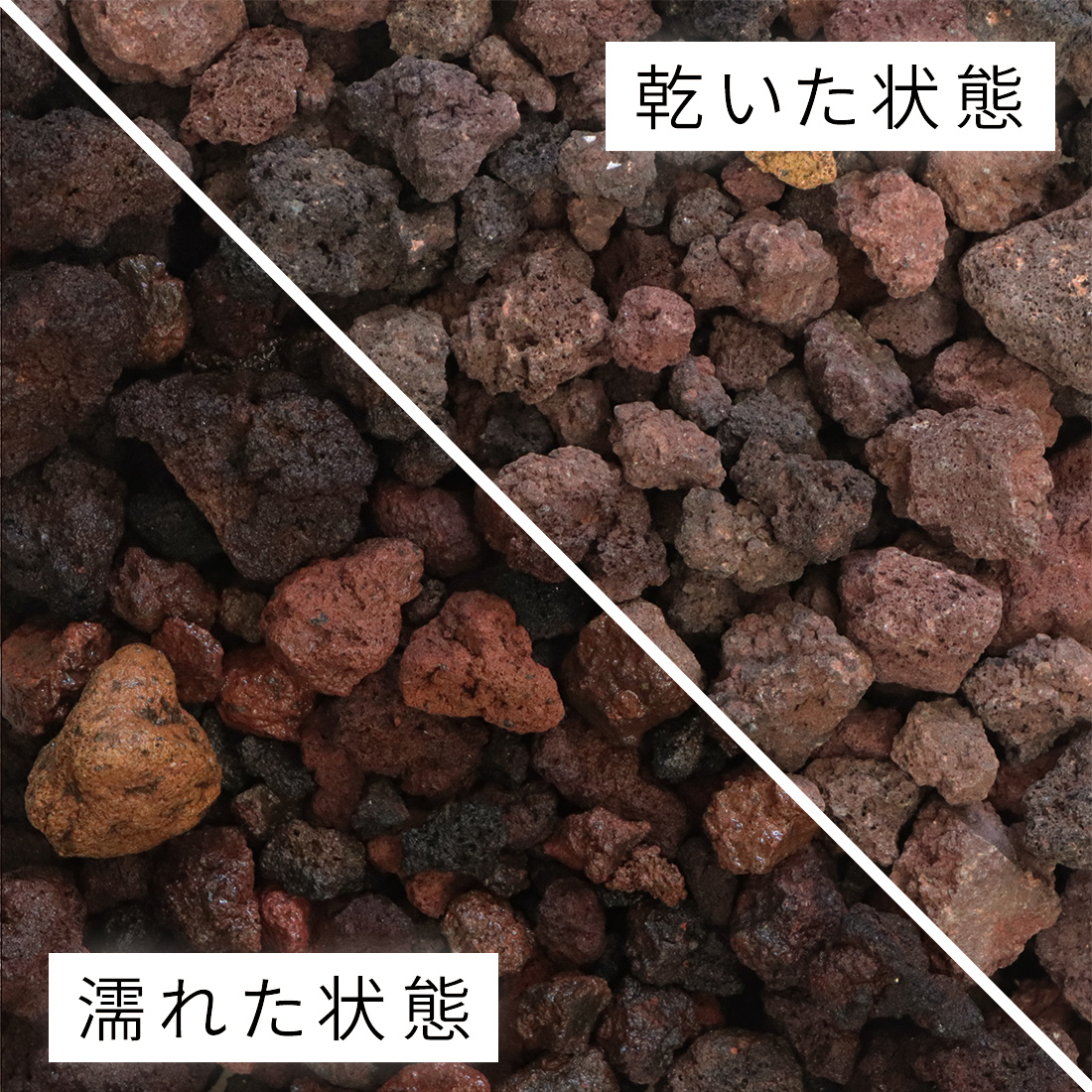琉球石灰岩 100-200mm 50kg (10kg×5箱) - 1