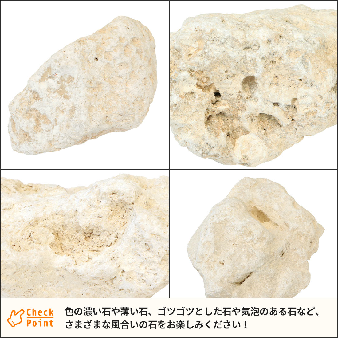琉球石灰岩 150-300mm 18kg以上