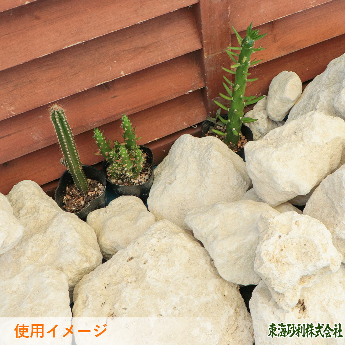 琉球石灰岩 50-200mm 10kg
